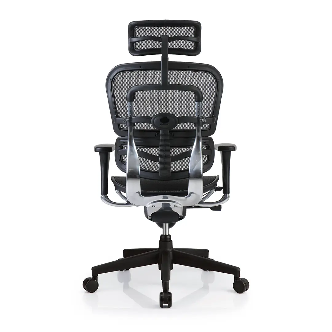เก้าอี้เพื่อสุขภาพ รุ่น Ergo1-Smart - Df Prochair เก้าอี้เพื่อสุขภาพ