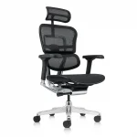 เก้าอี้เพื่อสุขภาพ Ergo Elite Pro