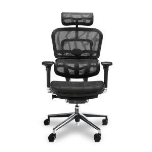 เก้าอี้เพื่อสุขภาพ DF Prochair